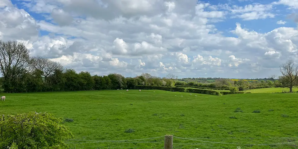 Lincolnshire Fields
